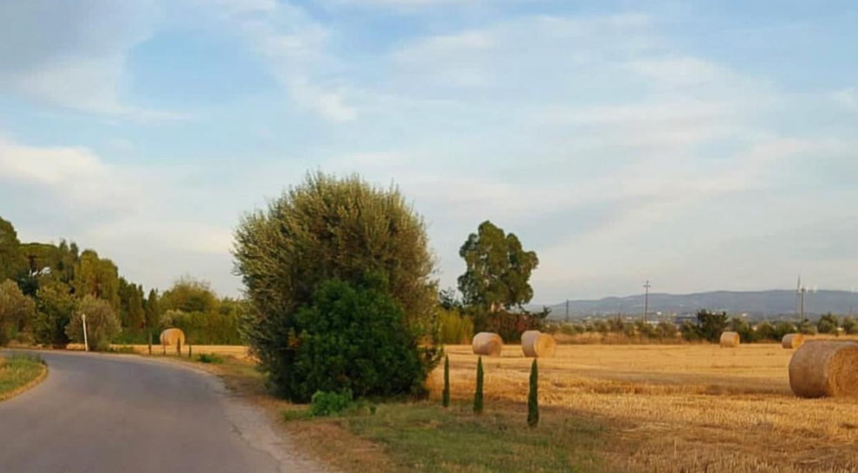 Il Cantuccio Cascina Zewnętrze zdjęcie