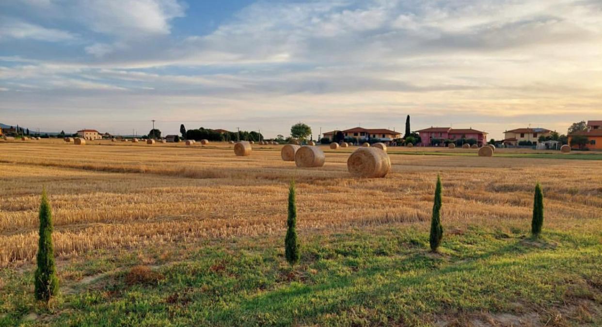 Il Cantuccio Cascina Zewnętrze zdjęcie