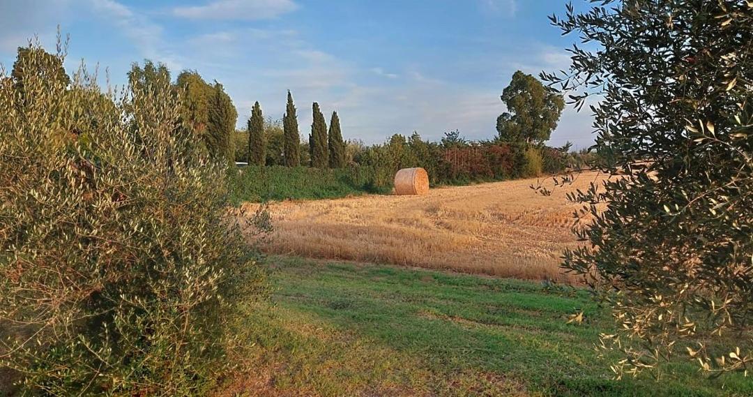 Il Cantuccio Cascina Zewnętrze zdjęcie